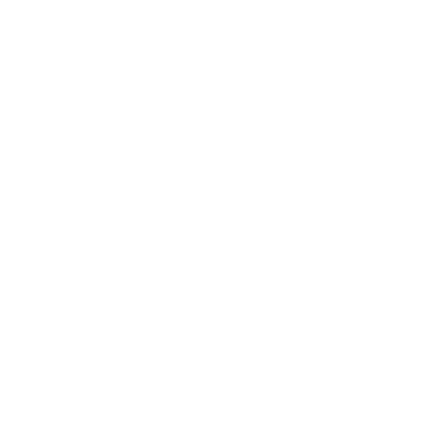 Wealth Inequality selected icon